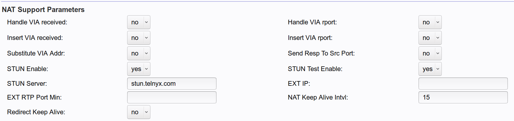 NAT support parameters section.