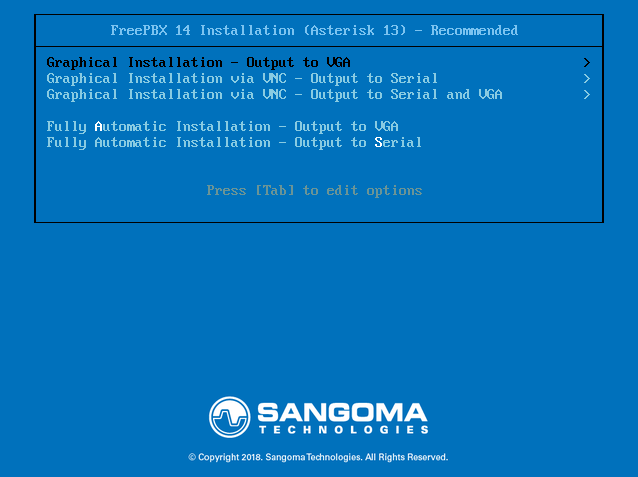 Installation Virtual Machine with preferred video options.