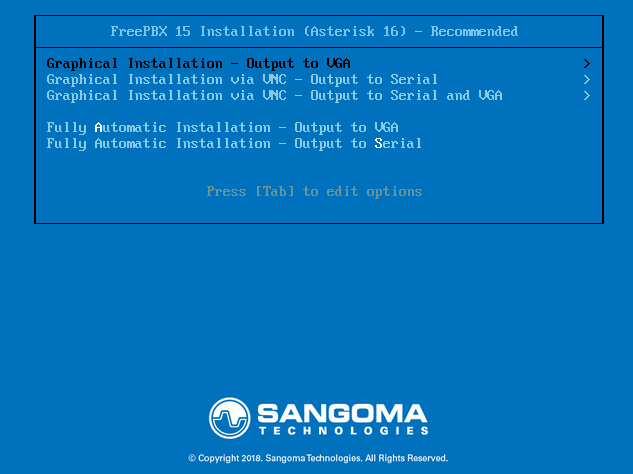 Preferred video installation method options on the Virtual machine. 