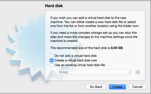 Hard disk screen on the Debian network installer. 